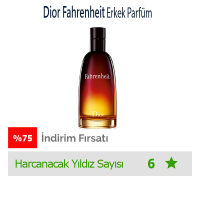 Dior Fahrenheit Edt 100 Ml Erkek Parfümü